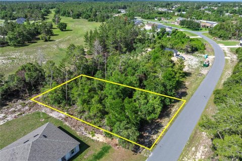 Land in Ocala, Florida № 1751740 - photo 1