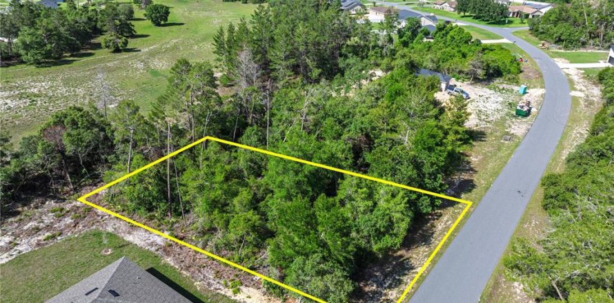 Land in Ocala, Florida № 1751740