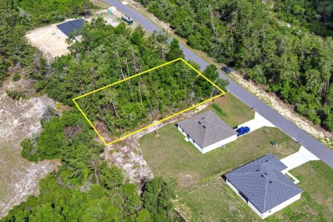 Land in Ocala, Florida № 1751740 - photo 7