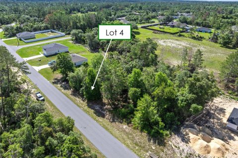 Land in Ocala, Florida № 1751740 - photo 9
