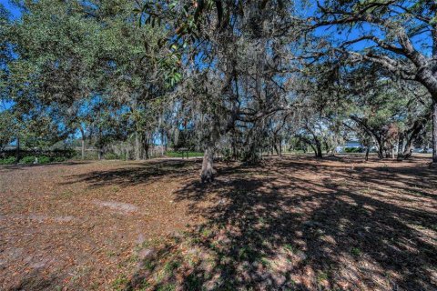 Terreno en venta en Trinity, Florida № 1733665 - foto 1