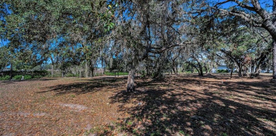 Terreno en Trinity, Florida № 1733665