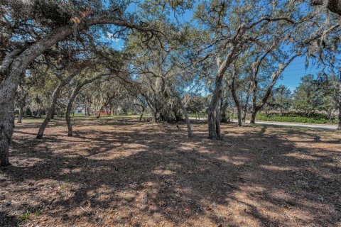 Terreno en venta en Trinity, Florida № 1733665 - foto 2