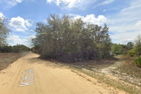 Land in Interlachen, Florida № 2161914 - photo 5
