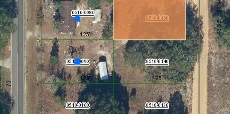 Land in Interlachen, Florida № 2161914
