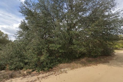 Land in Interlachen, Florida № 2161914 - photo 4