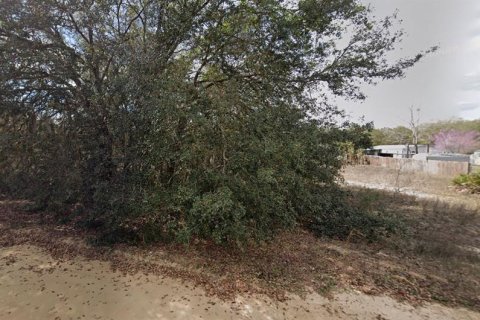Land in Interlachen, Florida № 2161914 - photo 3
