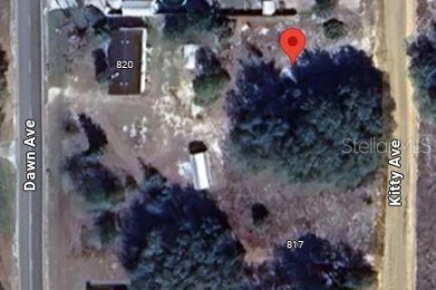 Land in Interlachen, Florida № 2161914 - photo 2