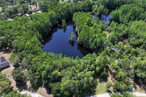 Land in Land O' Lakes, Florida № 1842950 - photo 9