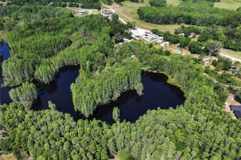 Land in Land O' Lakes, Florida № 1842950 - photo 17
