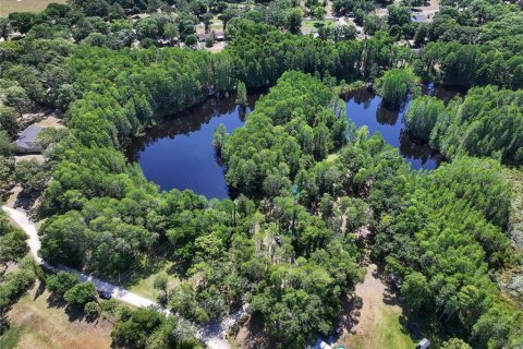 Land in Land O' Lakes, Florida № 1842950 - photo 10