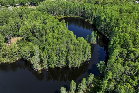 Land in Land O' Lakes, Florida № 1842950 - photo 24