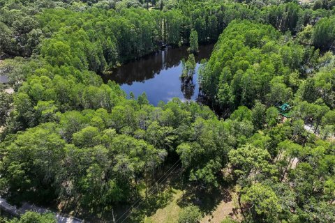 Land in Land O' Lakes, Florida № 1842950 - photo 23