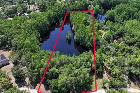 Land in Land O' Lakes, Florida № 1842950 - photo 1