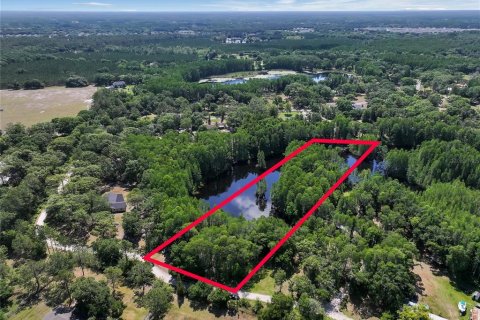 Land in Land O' Lakes, Florida № 1842950 - photo 2