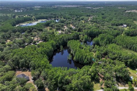 Land in Land O' Lakes, Florida № 1842950 - photo 20