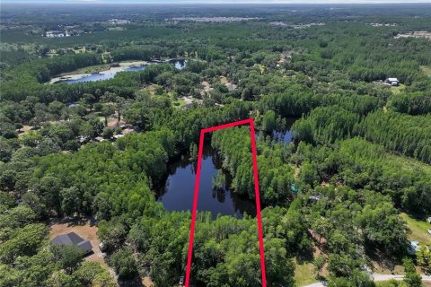 Land in Land O' Lakes, Florida № 1842950 - photo 3