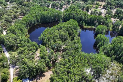 Land in Land O' Lakes, Florida № 1842950 - photo 11
