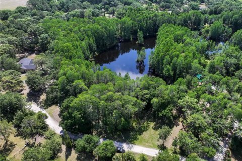 Land in Land O' Lakes, Florida № 1842950 - photo 22