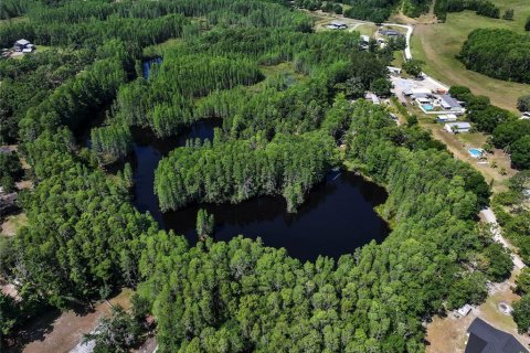 Land in Land O' Lakes, Florida № 1842950 - photo 18