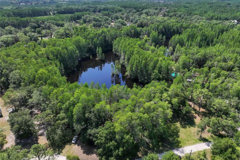Land in Land O' Lakes, Florida № 1842950 - photo 8