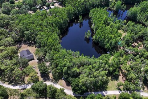 Land in Land O' Lakes, Florida № 1842950 - photo 4