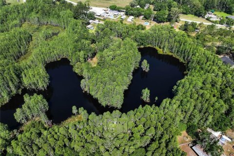 Land in Land O' Lakes, Florida № 1842950 - photo 6