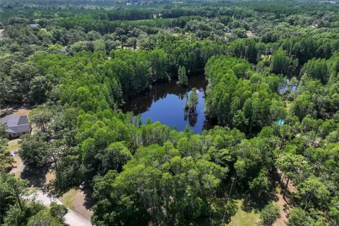 Land in Land O' Lakes, Florida № 1842950 - photo 7