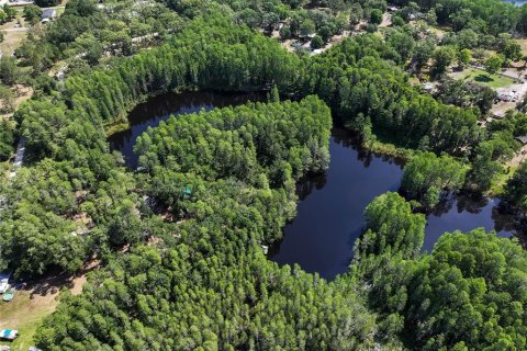 Land in Land O' Lakes, Florida № 1842950 - photo 12