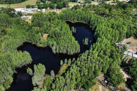 Land in Land O' Lakes, Florida № 1842950 - photo 15