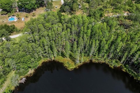 Land in Land O' Lakes, Florida № 1842950 - photo 25