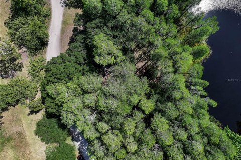 Land in Land O' Lakes, Florida № 1842950 - photo 5
