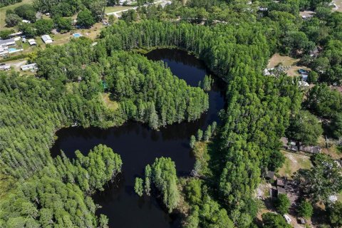 Land in Land O' Lakes, Florida № 1842950 - photo 14