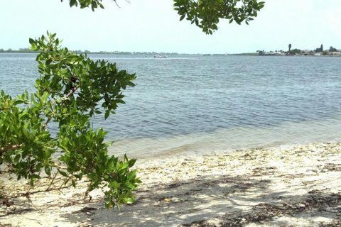 Terreno en venta en Port Charlotte, Florida № 1533826 - foto 11