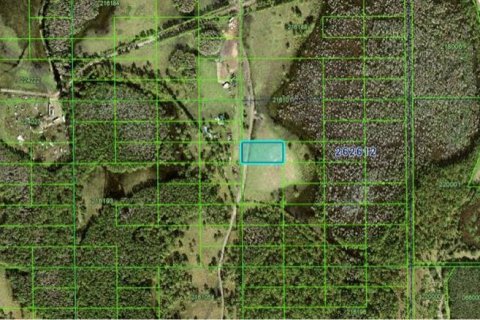 Land in Davenport, Florida № 2204578 - photo 3
