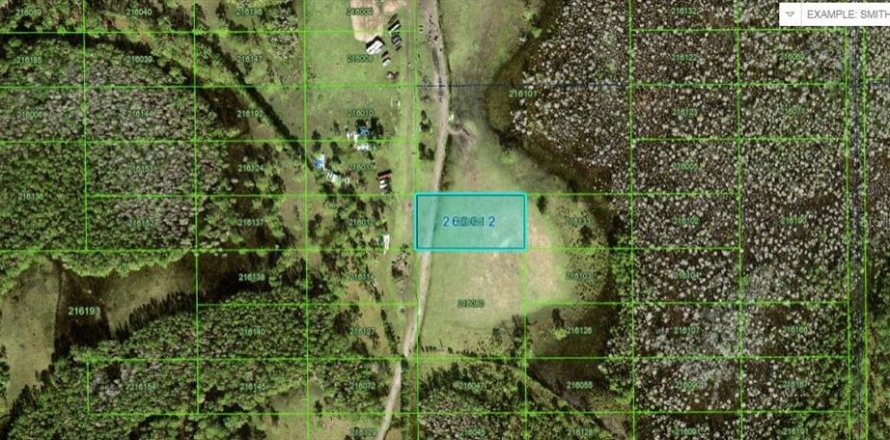 Land in Davenport, Florida № 2204578