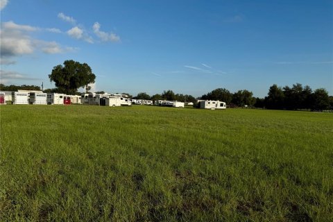 Immobilier commercial à vendre à Webster, Floride № 2370764 - photo 7