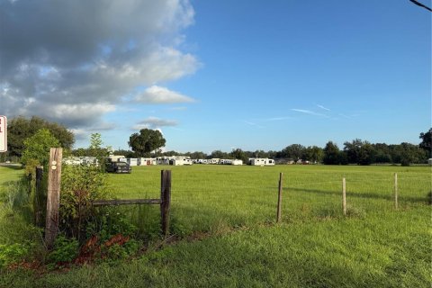 Immobilier commercial à vendre à Webster, Floride № 2370764 - photo 8