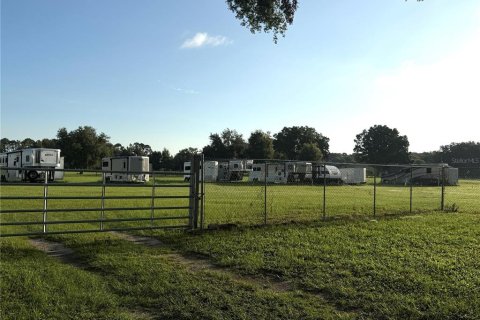 Immobilier commercial à vendre à Webster, Floride № 2370764 - photo 6