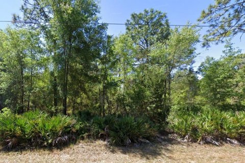 Land in Homosassa, Florida № 1894725 - photo 1