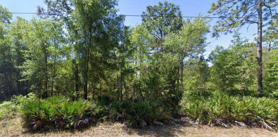 Land in Homosassa, Florida № 1894725