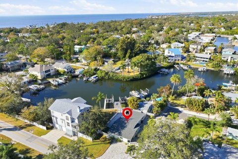 Casa en Palm Harbor, Florida 2 dormitorios, 118.91 m2 № 2360527