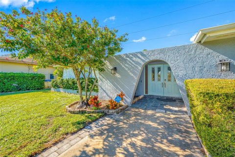 Villa ou maison à vendre à Clearwater, Floride: 4 chambres, 185.71 m2 № 2304535 - photo 24