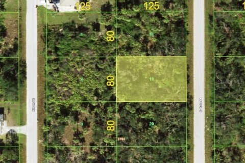 Land in Port Charlotte, Florida № 2379828 - photo 2