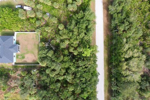 Land in Port Charlotte, Florida № 2379828 - photo 3
