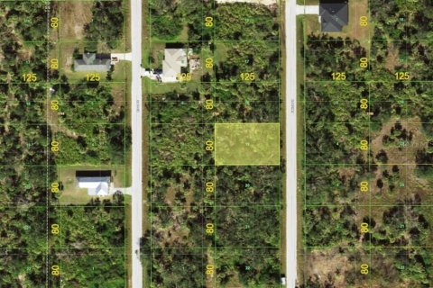 Land in Port Charlotte, Florida № 2379828 - photo 4