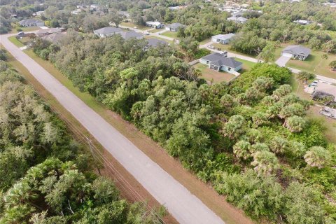 Land in Port Charlotte, Florida № 2379828 - photo 5