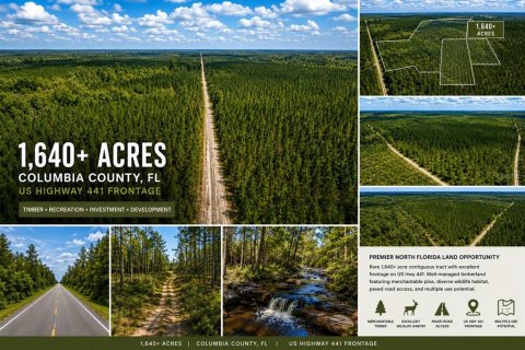 Land in Lake City, Florida № 2215112
