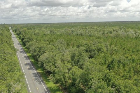 Terrain à vendre à Lake City, Floride № 2215112 - photo 21