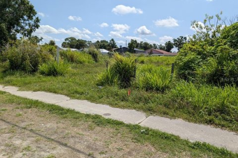Terreno en venta en Tampa, Florida № 1767187 - foto 3